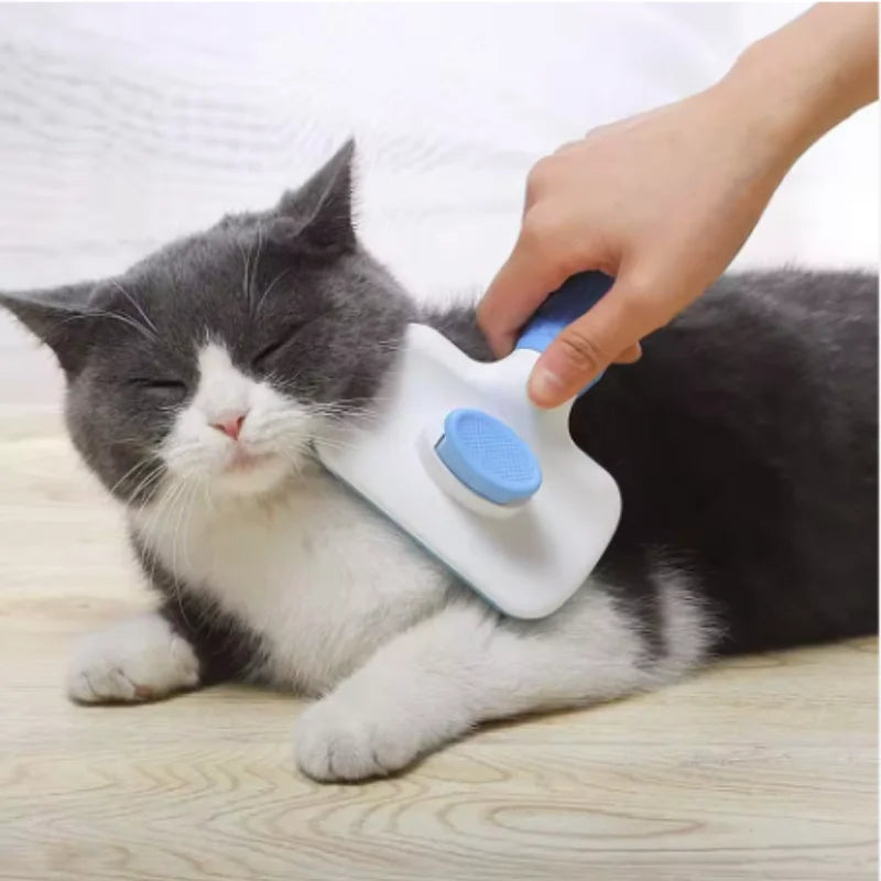 Cepillo autolimpiante para mascotas